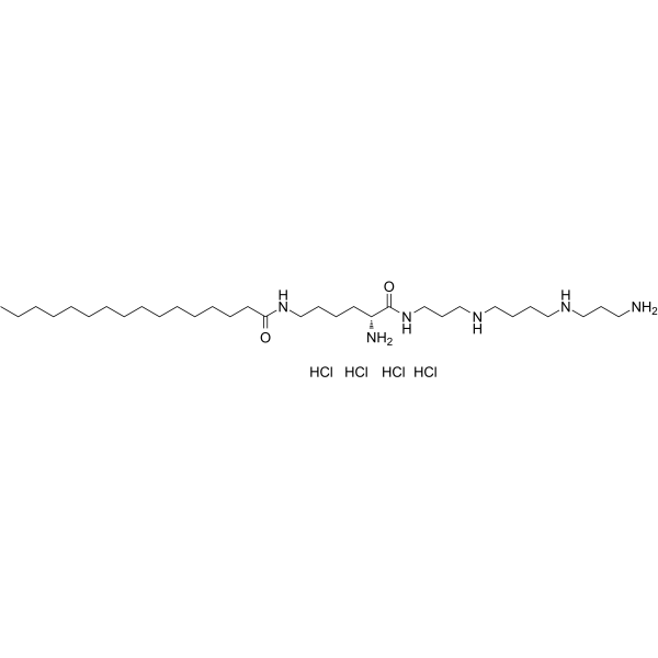 AMXT-1501 tetrahydrochloride 2444815-84-1
